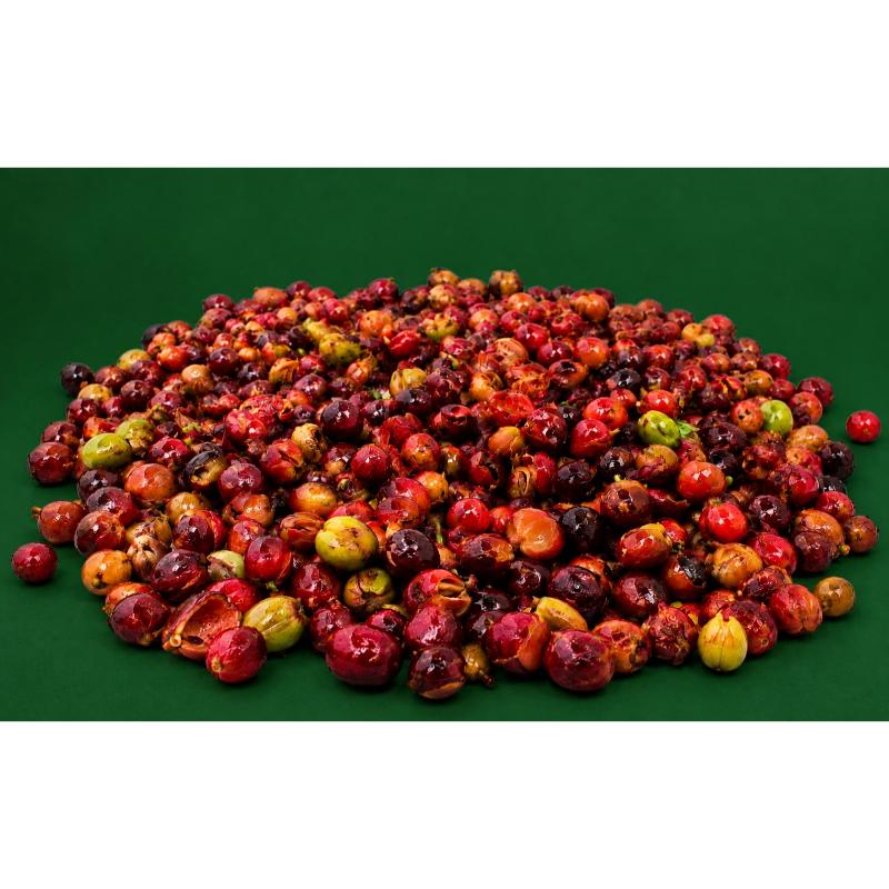 Aceite cosmético de café