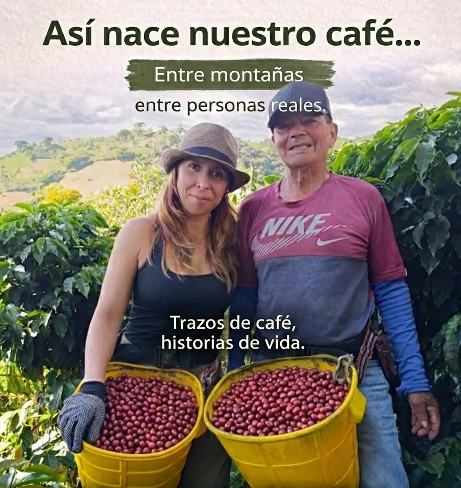 Finca cafetera en Pitalito Huila - Trazos de Café